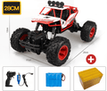 Carrinho De Controle Remoto 4x4 Off Road Grande