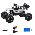 Carrinho De Controle Remoto 4x4 Off Road Grande